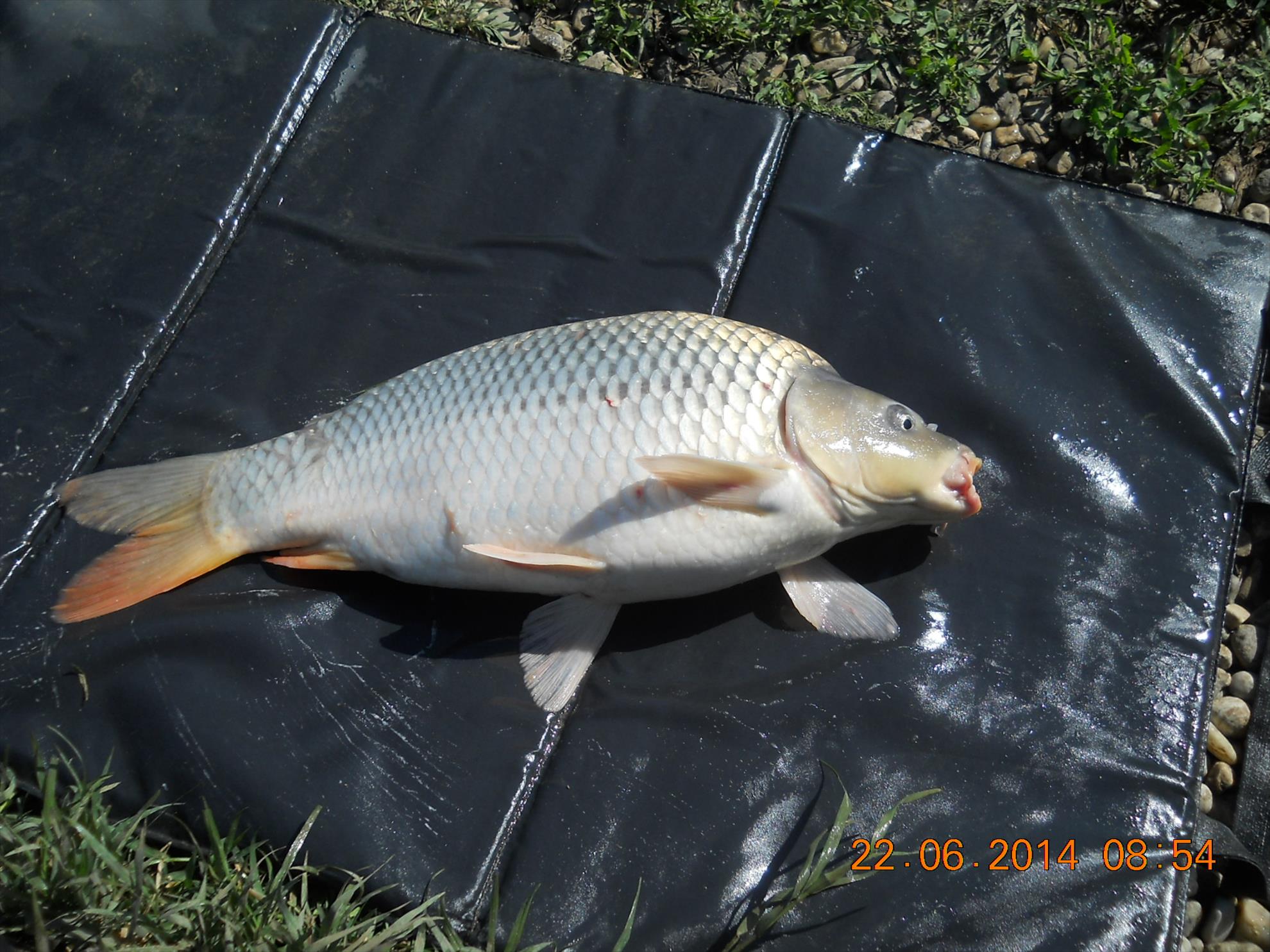 pescuit Magura 9 - dscn9577.jpg